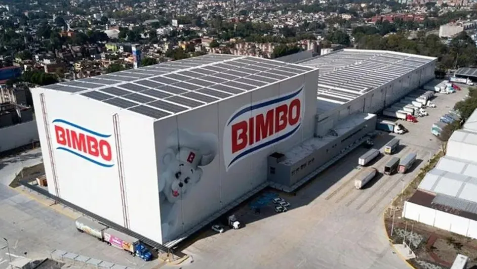 Grupo Bimbo acelera su estrategia sustentable y logra que casi todos sus empaques sean reciclables